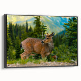 Black and white framed canvas of Olympic National Park landscape, ideal for bedroom wall decor.