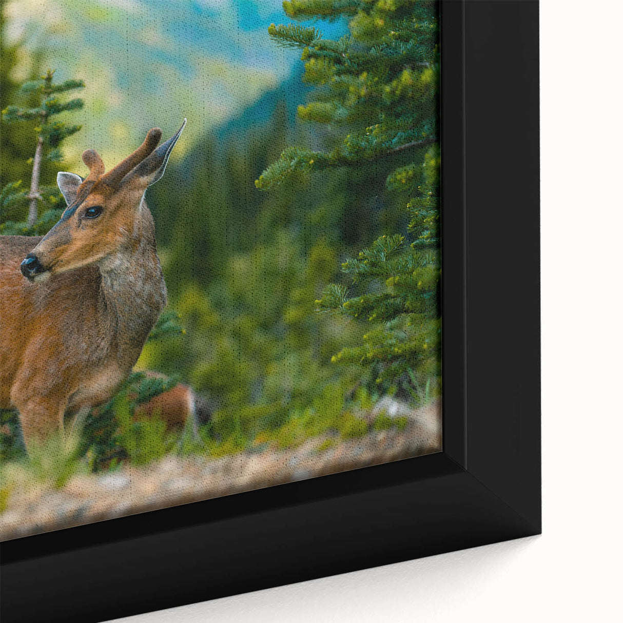 Extra large framed canvas of a textured black wall art depicting Olympic National Park with colorful accents.