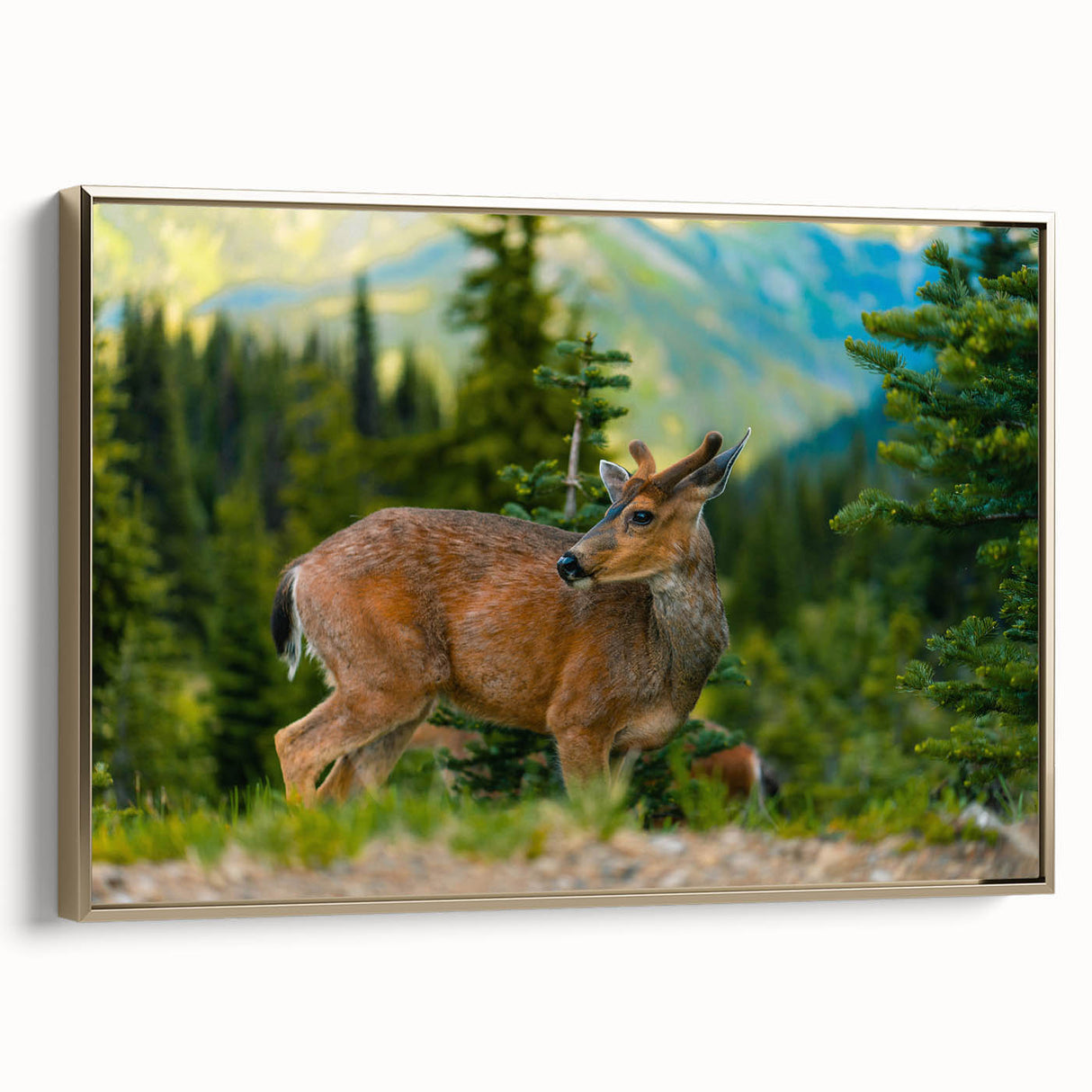 Framed canvas depicting a vintage-style landscape of the Olympic Mountains, using a muted palette of black and gold.