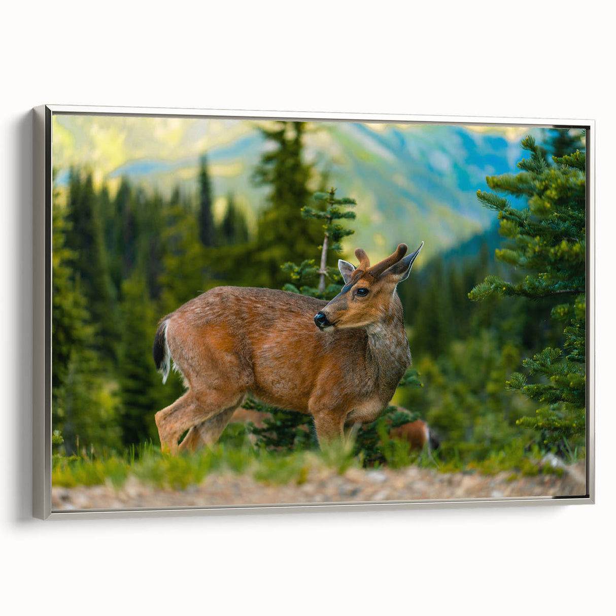 Framed canvas featuring a vintage-style landscape painting of Olympic National Park with muted earth tones.