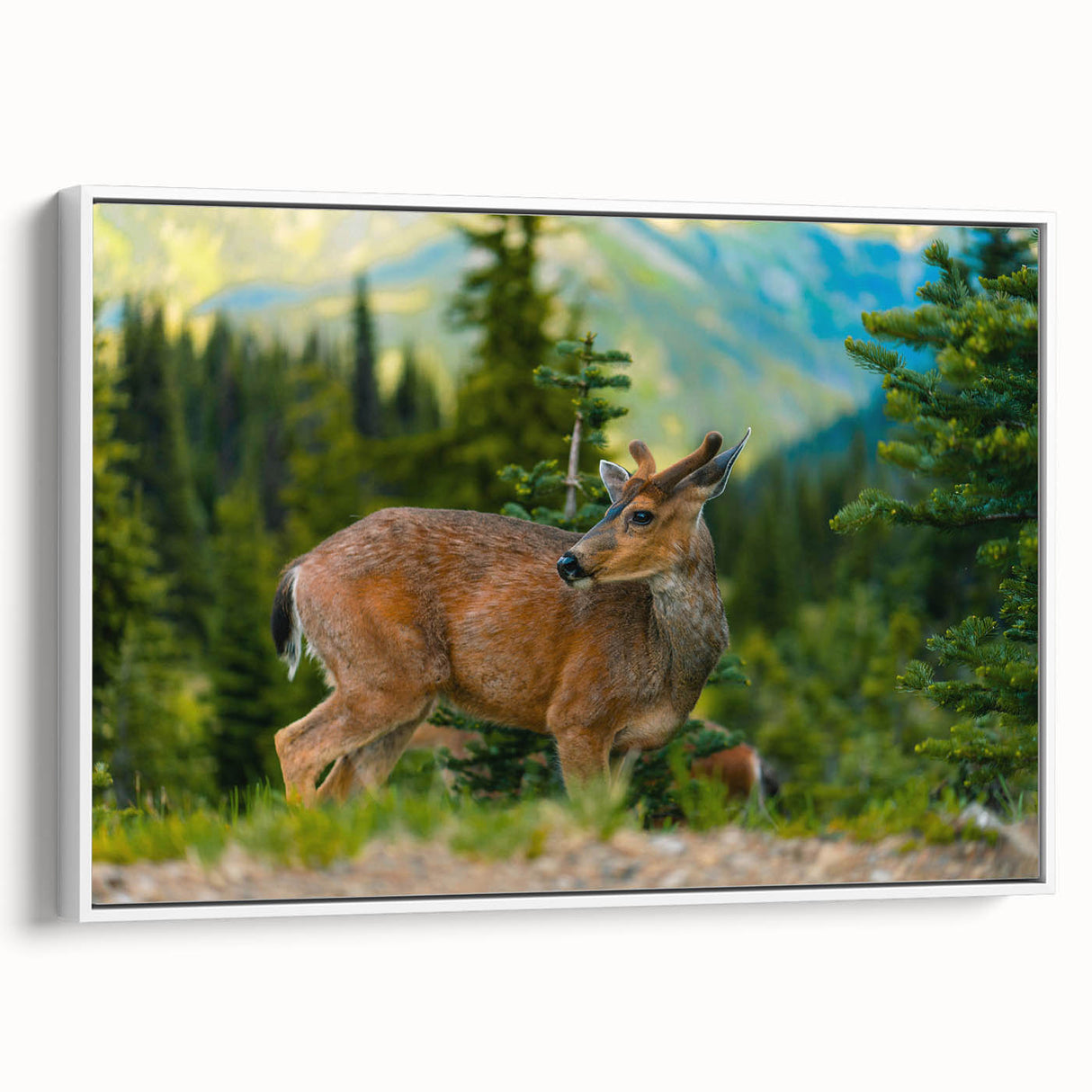 Vintage poster art of Olympic National Park with vibrant, colorful accents on a large framed canvas.