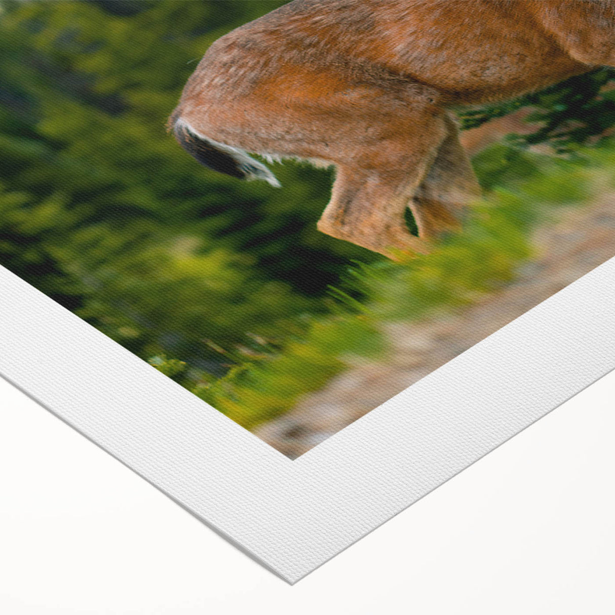 Art deco poster depicting Olympic National Park on a rolled canvas, with muted earth tones, ideal for dining room wall decor.