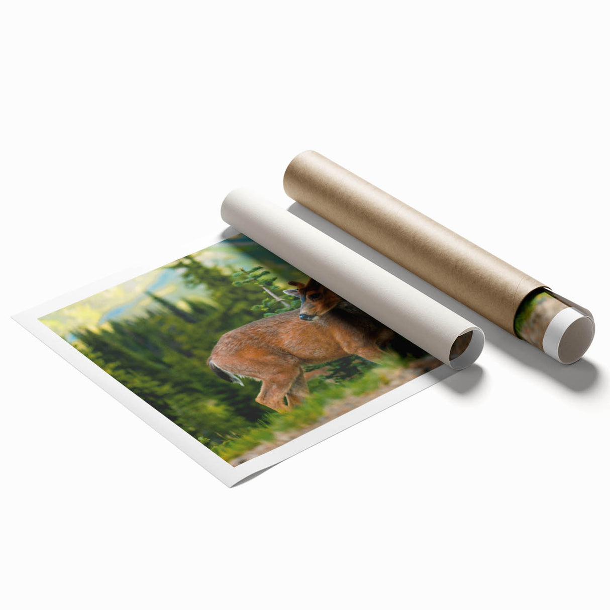Extra large rolled canvas print depicting Olympic National Park with lush greenery and floral elements.