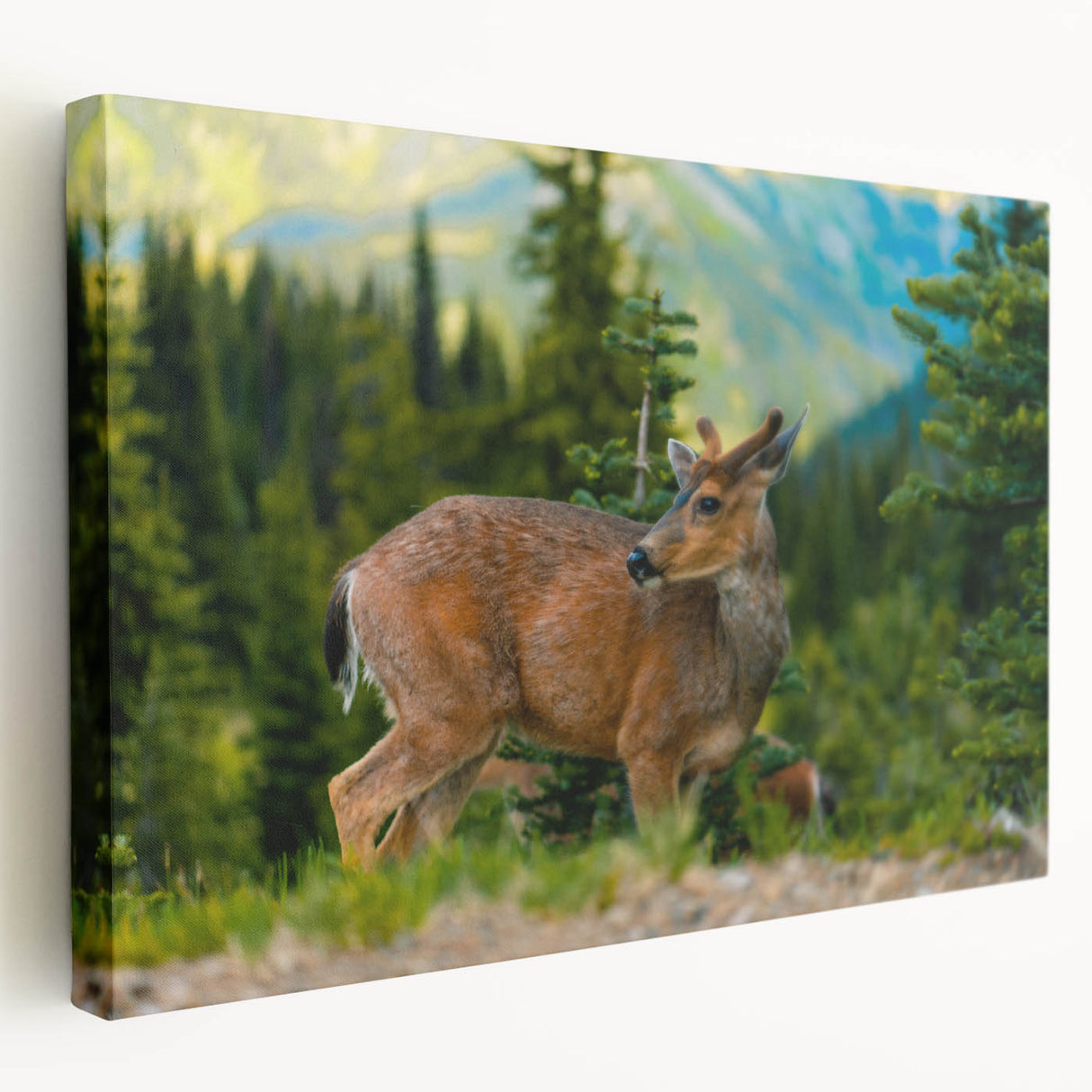 Olympic National Park scenery on large stretched canvas, featuring lush green tones, ideal for kitchen wall art.