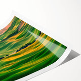 Extra large wall art featuring line art flowers in subtle green tones on a rolled print.