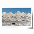 Rolled print of the Grand Tetons in Wyoming featuring muted earth tones.
