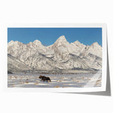 Rolled print of the Grand Tetons in Wyoming featuring muted earth tones.