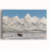 Black and white stretched canvas of the Grand Tetons, ideal for kitchen wall art.