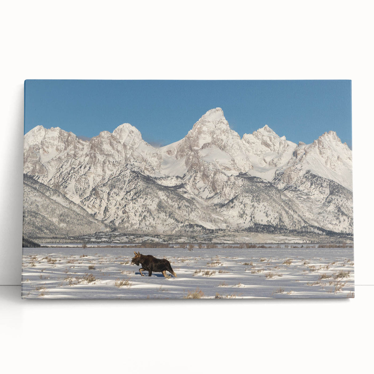 Black and white stretched canvas of the Grand Tetons, ideal for kitchen wall art or bedroom decor.