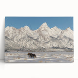 Black and white stretched canvas of the Grand Tetons, ideal for kitchen wall art or bedroom decor.