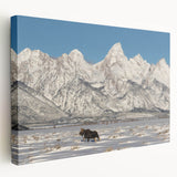 Grand Tetons landscape on stretched canvas, featuring earthy green and blue tones, suitable for kitchen wall art.