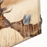 Large abstract depiction of Yellowstone in muted earth tones on acrylic glass, suited for dining room art.