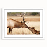 Abstract art print of Yellowstone scenery in muted earth tones on a framed white mat, ideal for dining room decor.