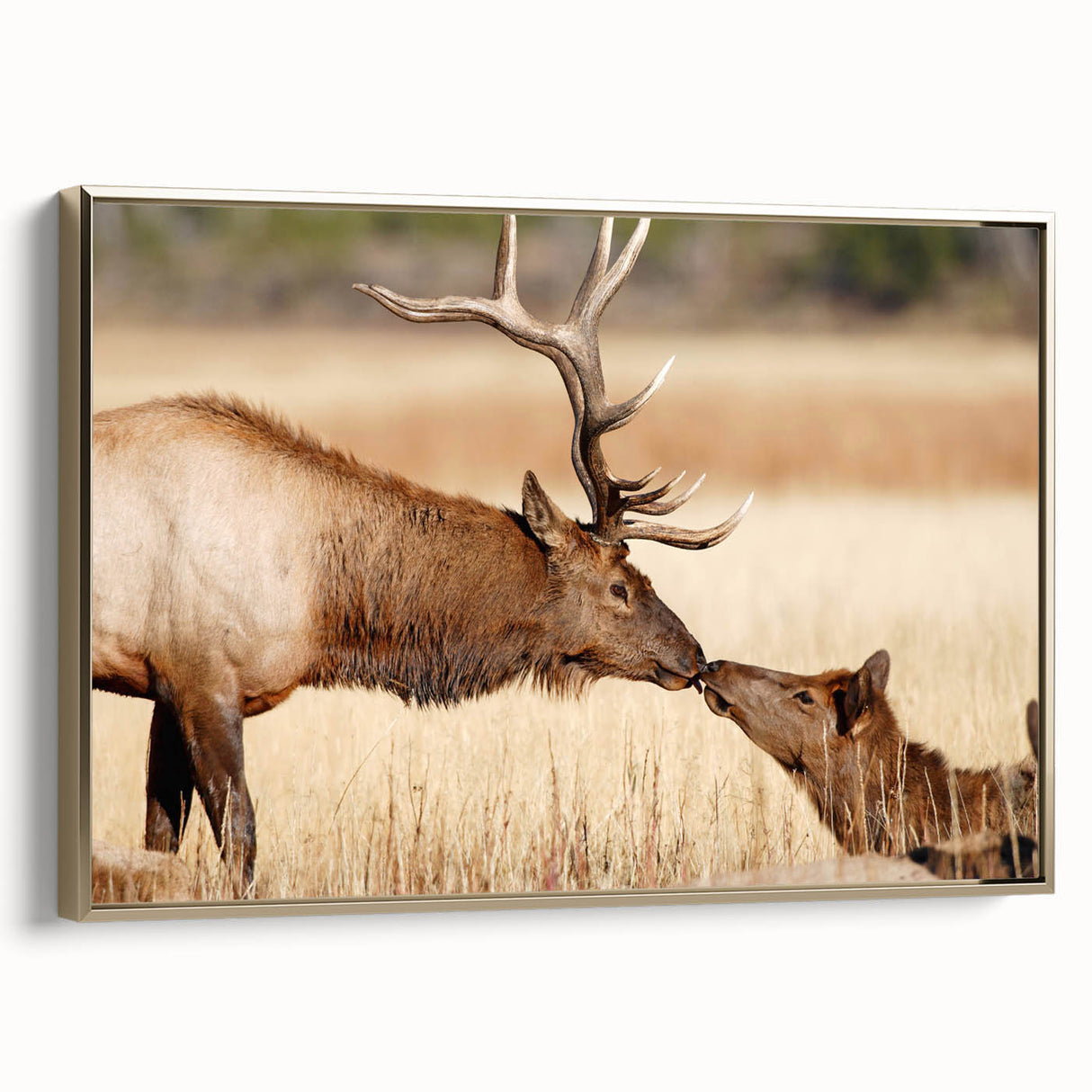 Framed canvas depicting Yellowstone National Park landscape in vintage poster style, featuring muted earth tones.