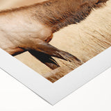 Art deco poster of Yellowstone scenery on rolled canvas, featuring muted earth tones, ideal for dining room wall art.