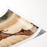 Extra large wall art featuring line art flowers in soft gray tones on a rolled print, suitable for large living room decor.