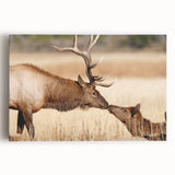 Black and white photograph of Yellowstone National Park on stretched canvas, ideal for kitchen wall art.