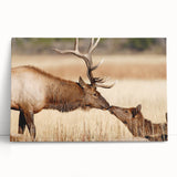 Black and white photograph of Yellowstone scenery on stretched canvas, ideal for kitchen wall art.