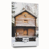 Large abstract wall art depicting a winter scene in muted blue and white tones on acrylic glass.