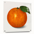 Large abstract wall art of assorted fruits in vibrant colors, printed on acrylic glass, suitable for dining room decor.