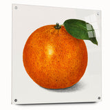 Large abstract wall art of assorted fruits in vibrant colors, printed on acrylic glass, suitable for dining room decor.
