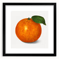 Extra large abstract art print featuring colorful, textured fruits, framed in black, ideal for living room decor.
