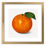 Extra large abstract art print featuring textured fruits in vibrant colors on a gold-framed canvas.