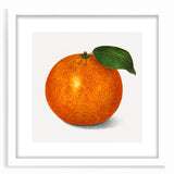 Abstract art print featuring assorted fruits in vibrant colors on a white framed mat, ideal for dining room decor.