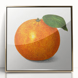 Large art print featuring an array of colorful fruits in a mid-century modernist style, framed in gold acrylic.