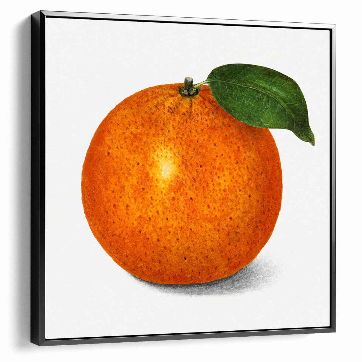 Black and white framed canvas featuring a vintage poster art style landscape of fruit, ideal for bedroom wall decor.