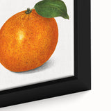 Extra large black wall art featuring a close-up of colorful, textured fruits on framed canvas, ideal for living room decor.