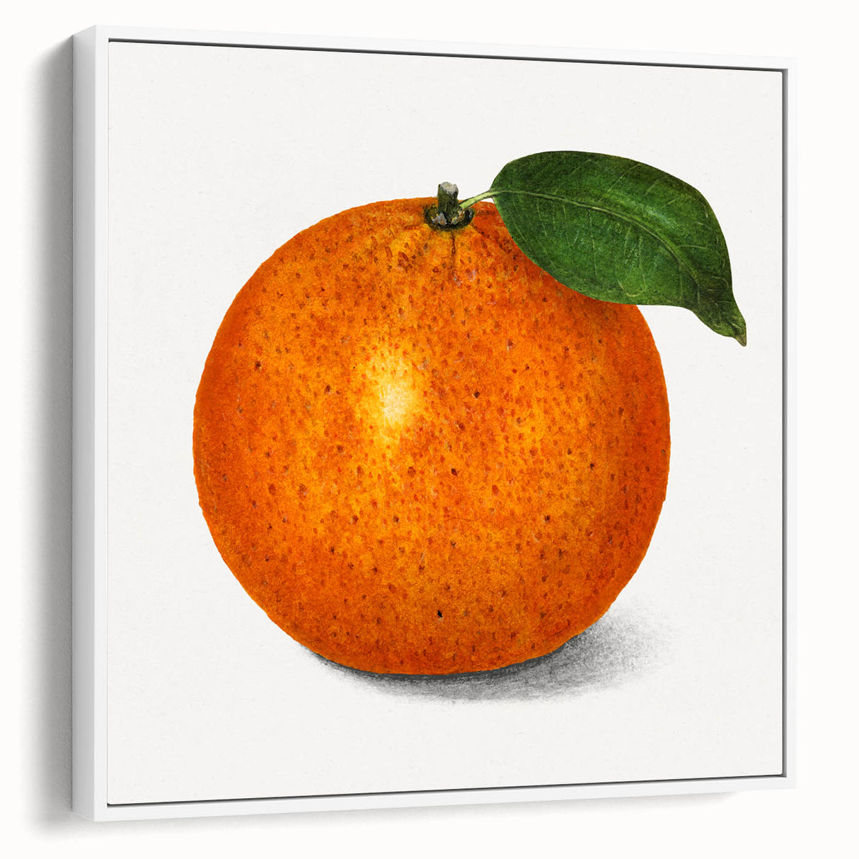 Vintage poster art of colorful fruits on a large framed canvas, ideal for living room decor.