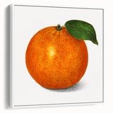 Vintage poster art of colorful fruits on a large framed canvas, ideal for living room decor.