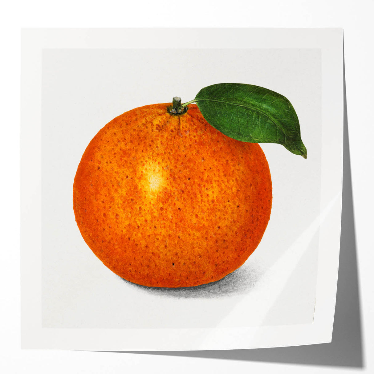 Rolled canvas print featuring an array of colorful fruits on a light background, suitable for art wall dining room.