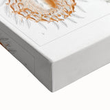 Modern Wall Art: Intricate Arachnid Illustration by Ernst Haeckel