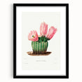 Modern Wall Art: Vibrant Rainbow Cactus Illustration with Pink Blooms