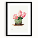 Modern Wall Art: Vibrant Rainbow Cactus Illustration with Pink Blooms