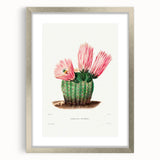 Modern Wall Art: Vibrant Rainbow Cactus Illustration with Pink Blooms