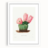 Modern Wall Art: Vibrant Rainbow Cactus Illustration with Pink Blooms