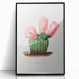 Modern Wall Art: Vibrant Rainbow Cactus Illustration with Pink Blooms