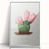 Modern Wall Art: Vibrant Rainbow Cactus Illustration with Pink Blooms