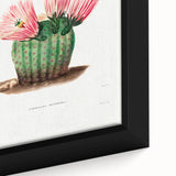 Modern Wall Art: Vibrant Rainbow Cactus Illustration with Pink Blooms