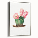 Modern Wall Art: Vibrant Rainbow Cactus Illustration with Pink Blooms