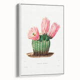 Modern Wall Art: Vibrant Rainbow Cactus Illustration with Pink Blooms