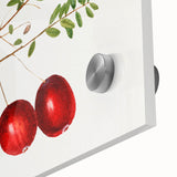 Close-up of large abstract wall art featuring assorted fruits in vibrant colors on acrylic glass.