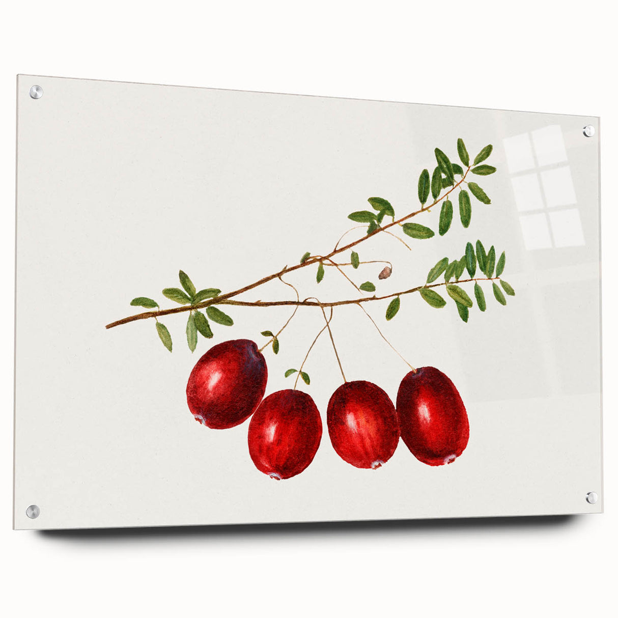 Acrylic print of large abstract wall art featuring assorted fruits in bright, vivid colors, ideal for dining room decor.