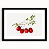 Extra large abstract art print of colorful, textured fruits on black framed canvas, ideal for living room decor.