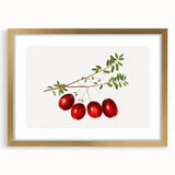 Extra large abstract art print featuring textured fruits in muted earth tones, framed in gold, ideal for living room decor.