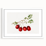 Abstract art print featuring an assortment of fruits in vibrant colors, framed in white, ideal for dining room decor.