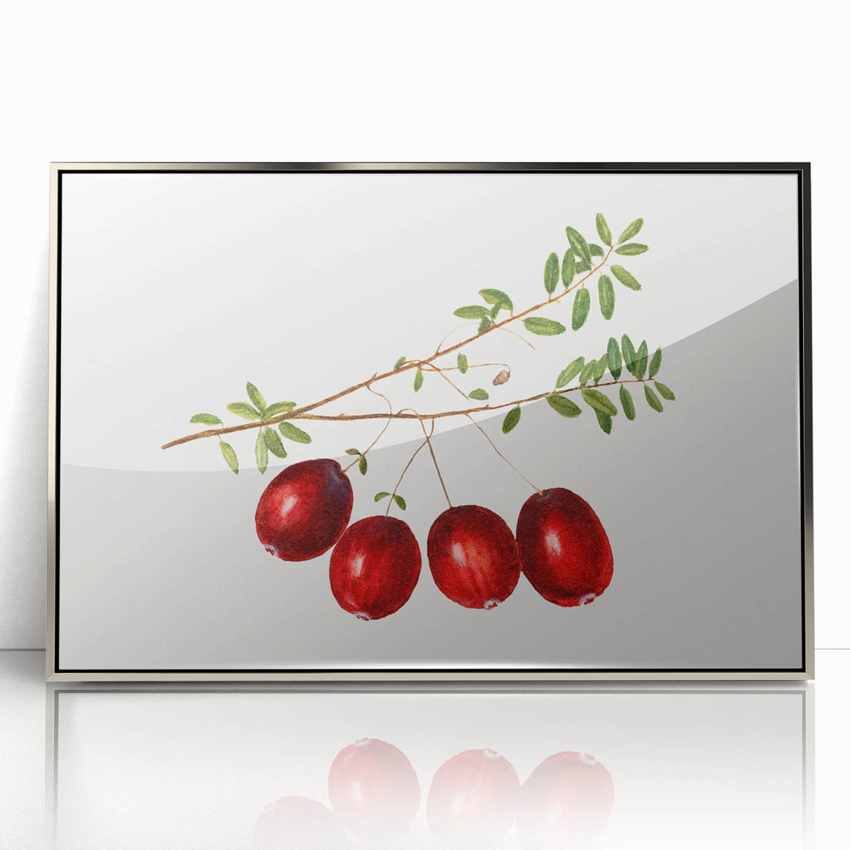 Mid-century modernist art featuring an array of colorful fruits on a silver framed acrylic print, ideal for nursery wall art.